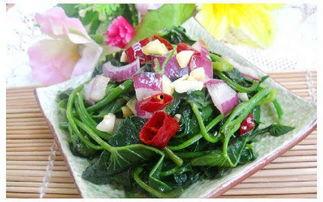 黑料吃瓜网apk普通安装  第2张