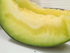 托福说说  第2张