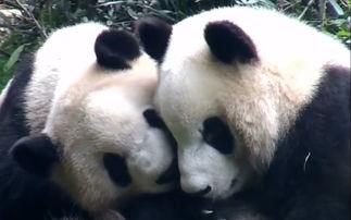 黑料吃瓜网apk普通安装  第3张