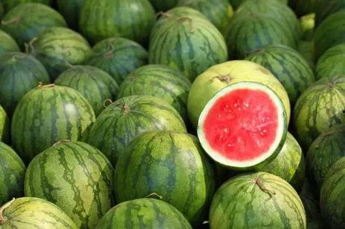 黑料吃瓜网apk普通安装 