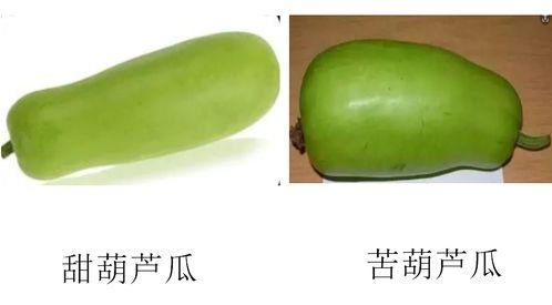 怎么样才能不当社畜:妻子的故事 