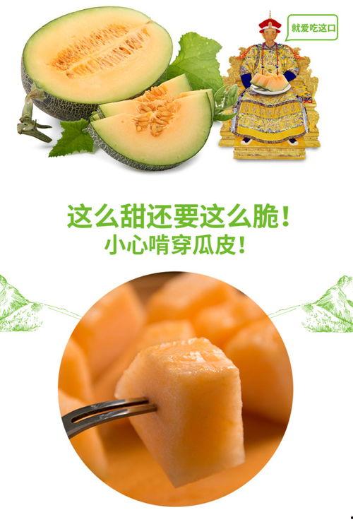能吃大师 