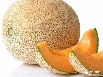哈密瓜影视 