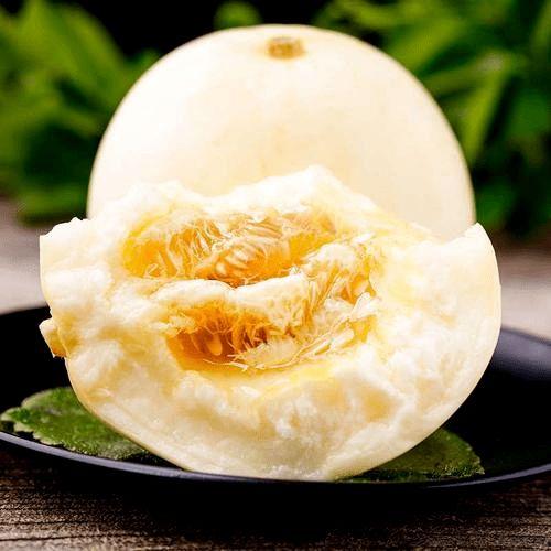 贪吃的方块蛇 